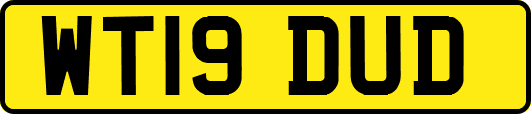 WT19DUD