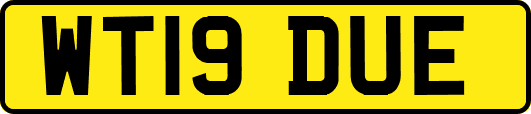 WT19DUE