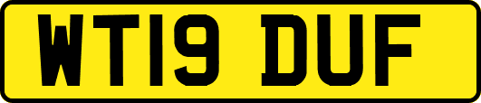 WT19DUF