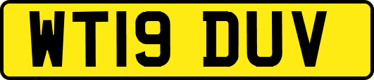 WT19DUV