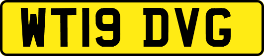 WT19DVG
