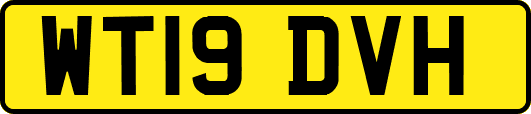 WT19DVH