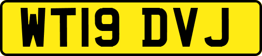 WT19DVJ