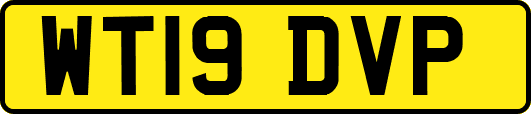 WT19DVP