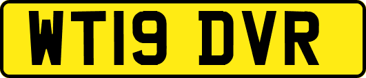 WT19DVR
