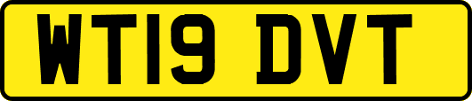 WT19DVT