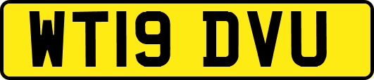 WT19DVU