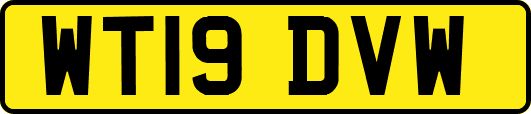 WT19DVW