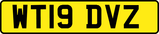 WT19DVZ