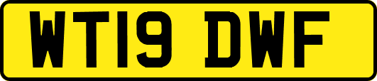 WT19DWF
