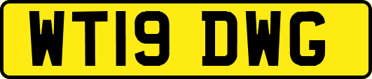 WT19DWG