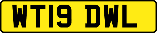 WT19DWL