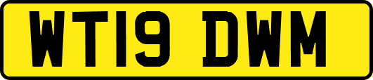WT19DWM