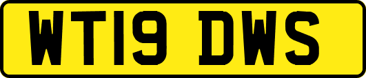WT19DWS