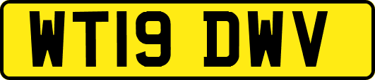 WT19DWV