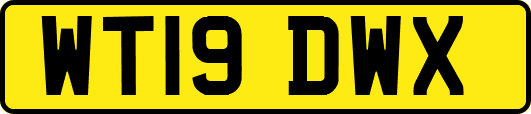 WT19DWX