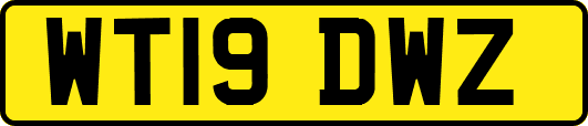 WT19DWZ