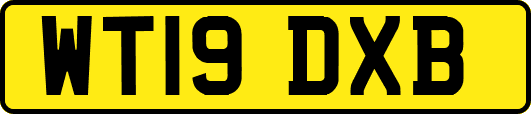 WT19DXB