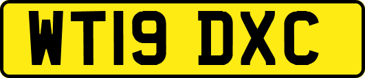 WT19DXC