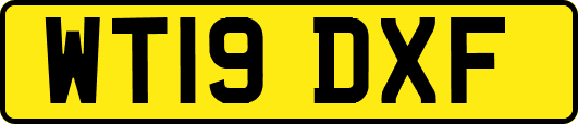 WT19DXF