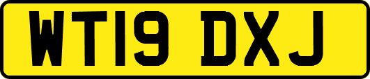 WT19DXJ