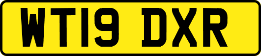 WT19DXR