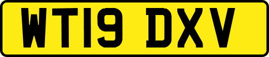 WT19DXV
