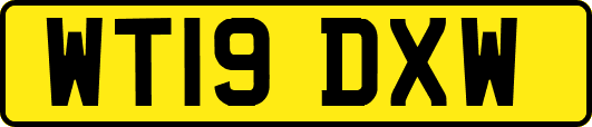 WT19DXW