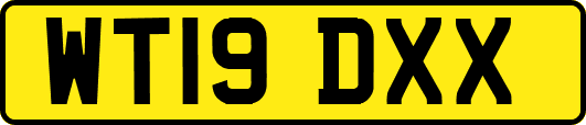 WT19DXX