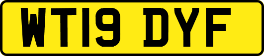 WT19DYF