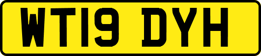 WT19DYH