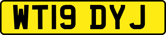 WT19DYJ