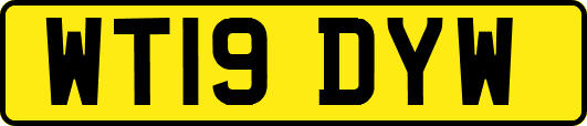 WT19DYW