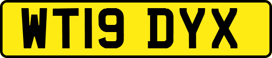 WT19DYX