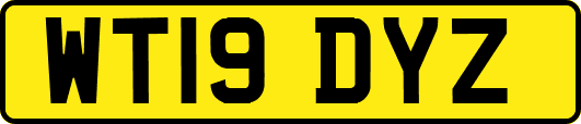 WT19DYZ