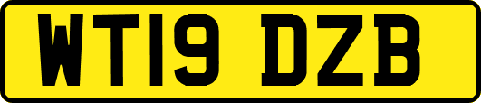WT19DZB