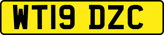 WT19DZC