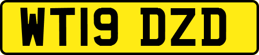 WT19DZD