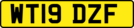 WT19DZF