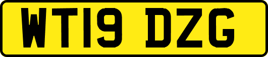 WT19DZG