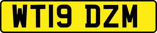 WT19DZM
