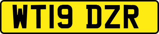 WT19DZR