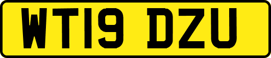 WT19DZU