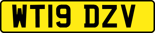 WT19DZV