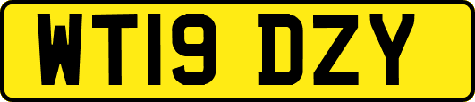 WT19DZY