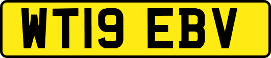 WT19EBV