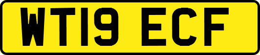 WT19ECF