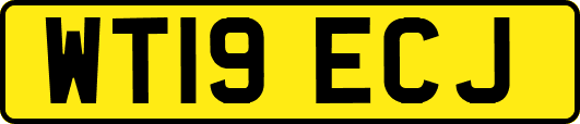 WT19ECJ