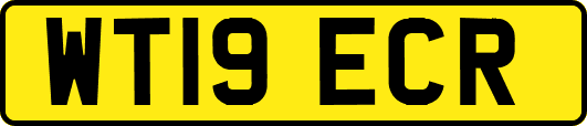 WT19ECR