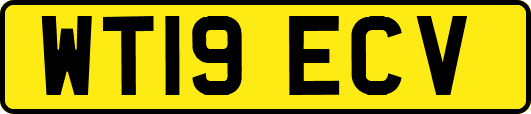 WT19ECV